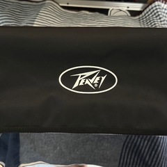 peavey invective mh　の画像