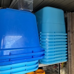 美品✨タライ36L 22個セット！！メダカ・針子・金魚飼育に🐟の画像