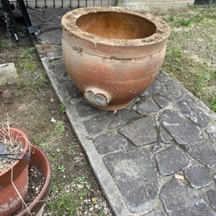 壺　鉢　金魚の画像