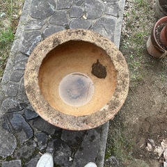 壺　鉢　金魚の画像