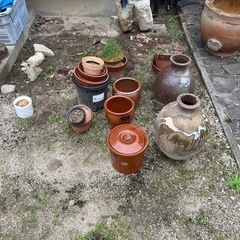 壺　鉢　金魚の画像