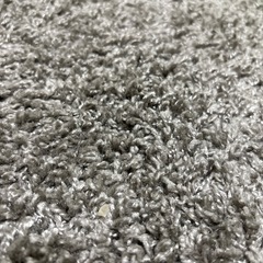 ニトリ、カーペット 、グレーの画像