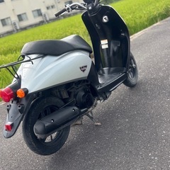 ホンダ　トゥデイ　配達可能　原付　スクーター　バイク　車体の画像