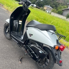 ホンダ　トゥデイ　配達可能　原付　スクーター　バイク　車体の画像
