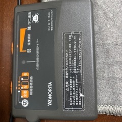 大判、ホットカーペットの画像