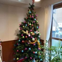 クリスマスツリー　2.2mサイズの画像