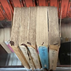 国盗り物語 司馬遼太郎の画像