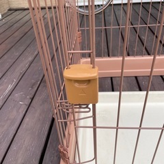 ケージの画像