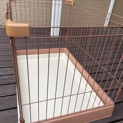ケージの画像