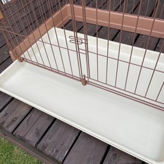 ケージの画像