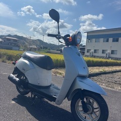 配達可能　ホンダ　TODAY バイク　原付　車体　 の画像