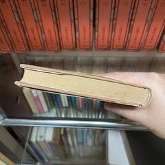 ニューギニア戦記 の画像