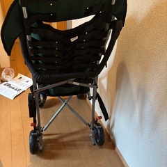 障がい者(児)バギー 手押し型車いすの画像