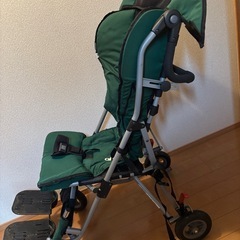 障がい者(児)バギー 手押し型車いすの画像