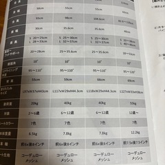 障がい者(児)バギー 手押し型車いすの画像