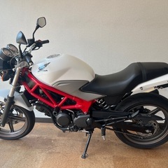 VTR 250  北九州の画像