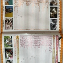 あげます　雑誌　ねこのいる暮らし　2022年の画像