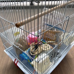 鳥類など飼育ゲージ、爪切り、革手袋付きの画像