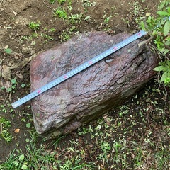 庭石　無料　庭園　ガーデニングの画像