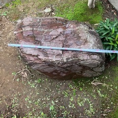 庭石　無料　庭園　ガーデニングの画像
