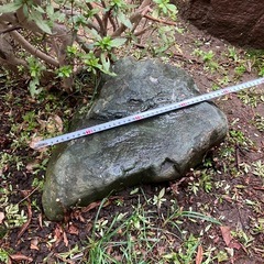 庭石　無料　庭園　ガーデニングの画像