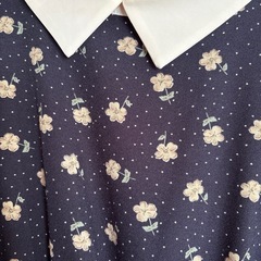 ワンピース①の画像