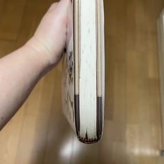 アジアで稼ぐ50の法則の画像