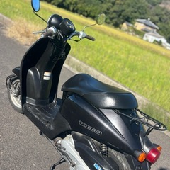 配達可能　ホンダ　トゥデイ　バイク　原付　車体　車両の画像