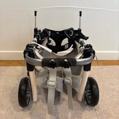 犬用車椅子・の画像
