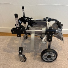 犬用車椅子・の画像