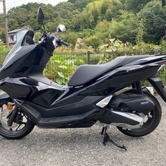 HONDA PCX125
の画像