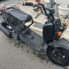 本日限定価格　ズーマー　AF58の画像