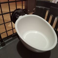 猫ちゃんキャリーと爪切りの画像