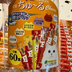 チュール猫の画像