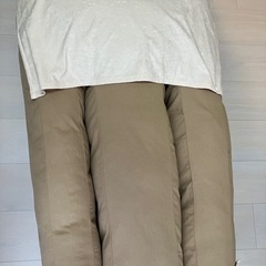 介護用 ドッグ ベッド L 防水カバー 高さ調整 E字型 洗える 床ずれ 寝たきり 誤嚥 投薬 食事 犬 ペット 小型 中型 大型 老犬 高齢 シニア エムールの画像