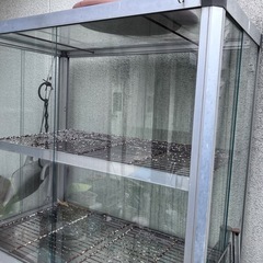 0円 ガラス製温室 
の画像
