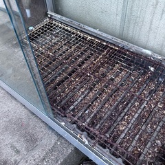0円 ガラス製温室 
の画像