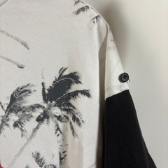 お取引中です✨️恐竜柄BigTロング丈 半袖Fの画像