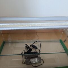 600mm水槽　ADAライト付きの画像