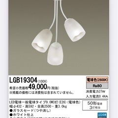 照明　ダウンライト　LED電球3個付きの画像