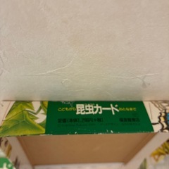 昆虫カードの画像