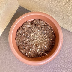 植木鉢 プランター ガーデニングの画像