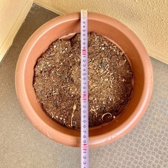 植木鉢 プランター ガーデニングの画像