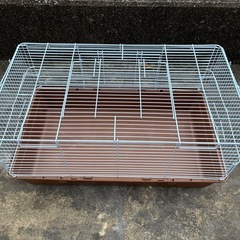 ハリネズミ(小動物)用 飼育セットの画像