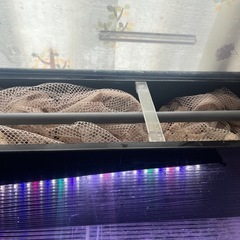 アクリル90センチ水槽セットの画像