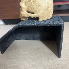 🦎【セット販売】バスキングシェルターL＋骸骨シェルターの画像