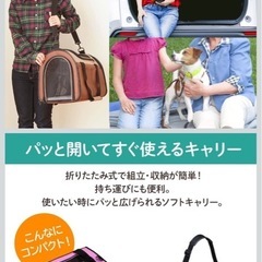 ペットキャリー　２つセットの画像