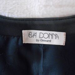 EVA DONNA by Onward　レザー　Vネックベスト ブラックの画像