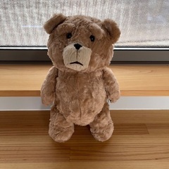 TEDのパペット ハンドメイドの画像