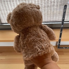 TEDのパペット ハンドメイドの画像